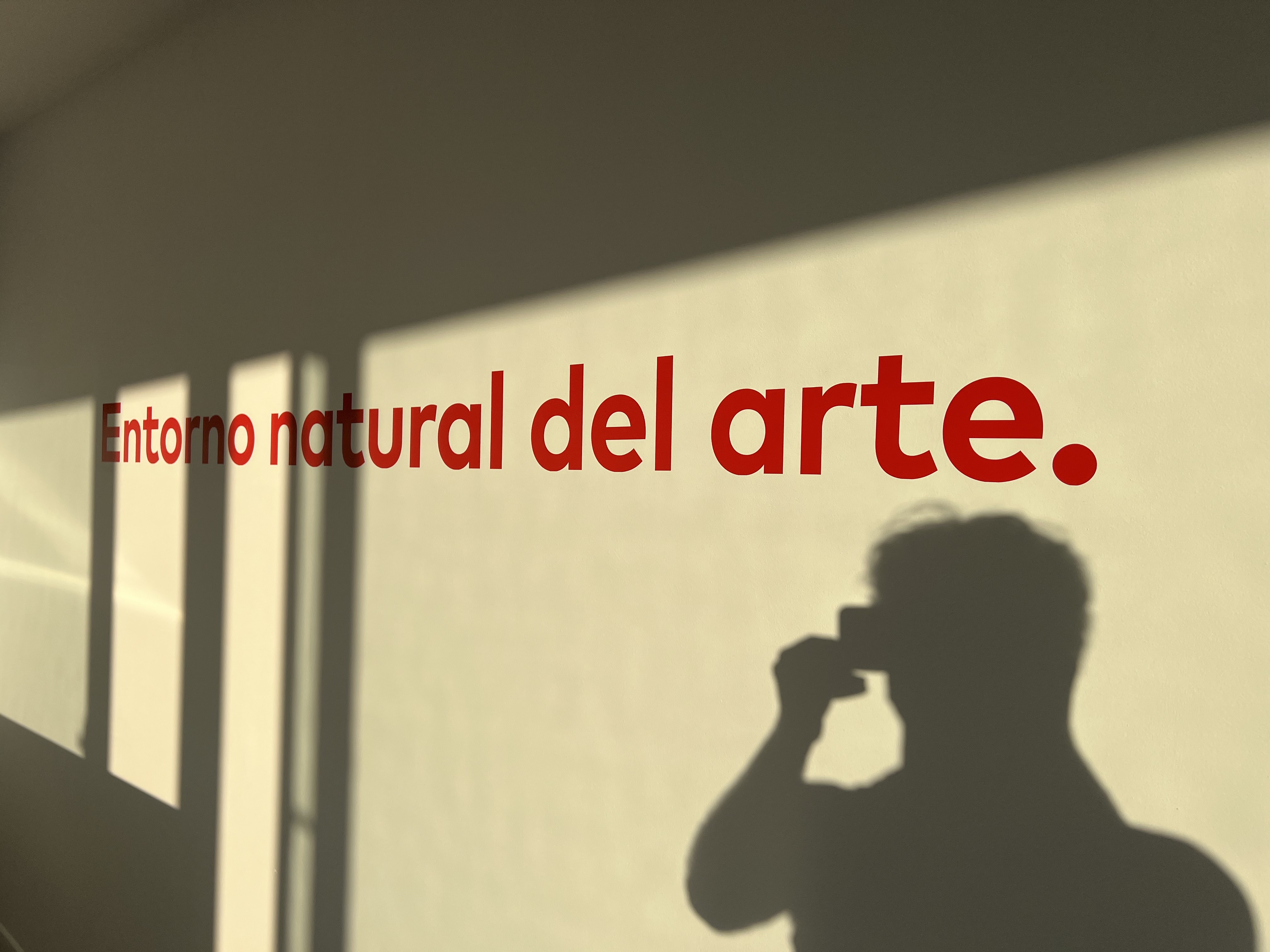 Entorno natural del arte
